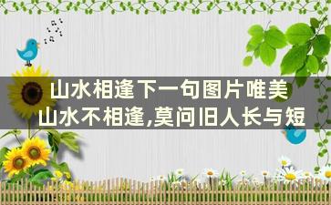 山水相逢下一句图片唯美 山水不相逢,莫问旧人长与短